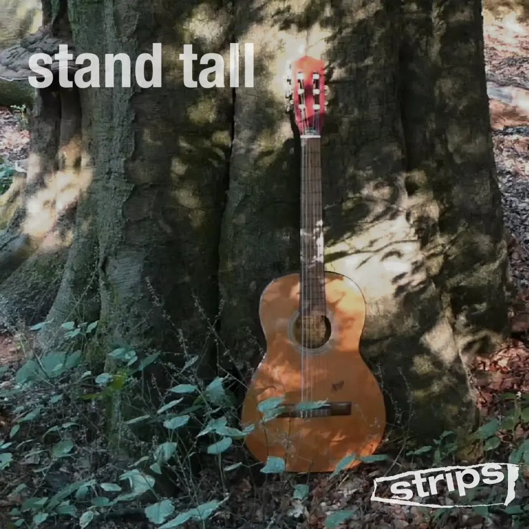 Album art for stand tall
